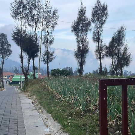 Bromo Semesta Guesthouse Проболинго Экстерьер фото